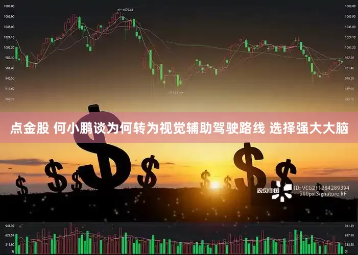 点金股 何小鹏谈为何转为视觉辅助驾驶路线 选择强大大脑