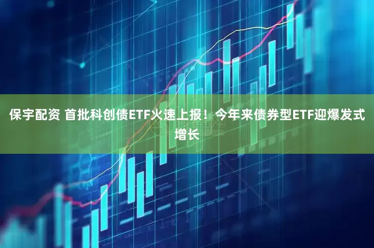 保宇配资 首批科创债ETF火速上报！今年来债券型ETF迎爆发式增长