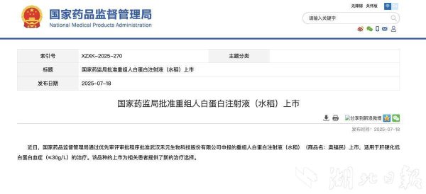 小熊猫配资 二十年磨一剑，全球首创“稻米造血”新药获批上市